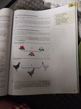 Biología y Geología 4 ESO :Volumen : La dinámic...