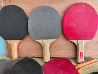 Lote tenis de mesa