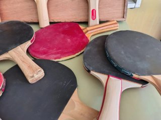 Lote tenis de mesa