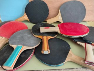 Lote tenis de mesa