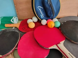 Lote tenis de mesa