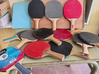 Lote tenis de mesa