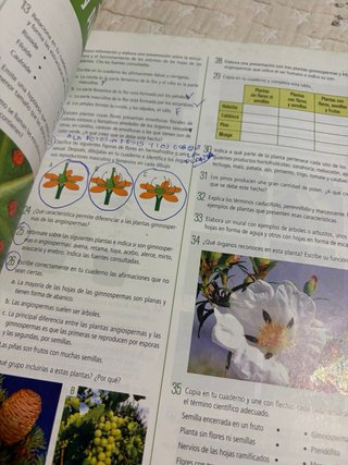 Biología Y Geología 1 Secundaria