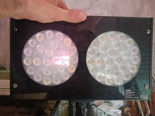 NICREW HyperReef 100W LED Luz Acuario Marino!