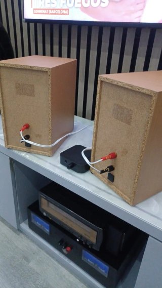 Altavoces Sony 60W Bluetooth