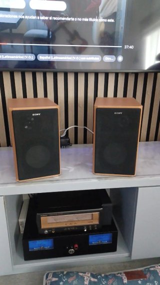 Altavoces Sony 60W Bluetooth