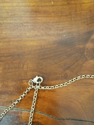 Collana Roberto Cavalli donna metallo.