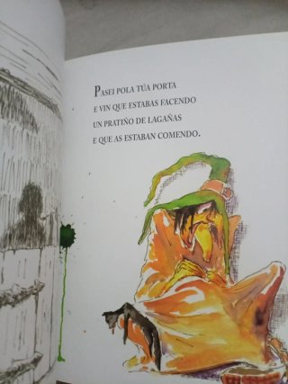 Lote 2 libros infantil gallego