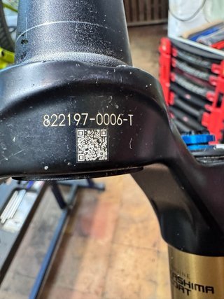 Fox 34 Kashima 120mm Step-Cast