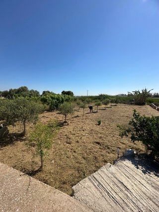 Desbroce de fincas y parcelas | Vinaròs