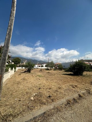 Desbroce de fincas y parcelas | Vinaròs