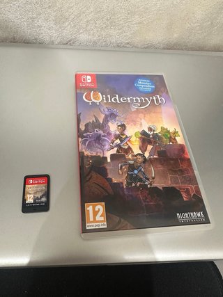 Wildermyth Nintendo Switch