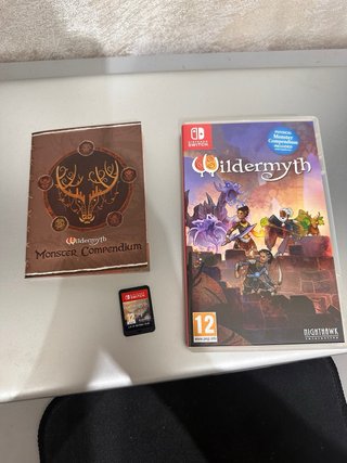Wildermyth Nintendo Switch