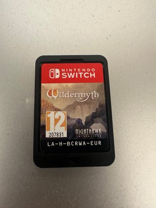Wildermyth Nintendo Switch