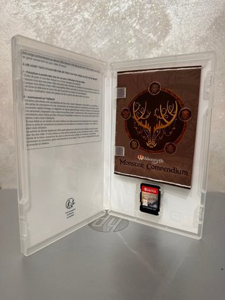 Wildermyth Nintendo Switch