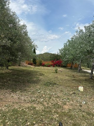 Jardines y casas cerradas | Mantenimiento