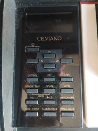 PIANO CASSIO CELVIANO GRAND HYBRID GP-310 BK