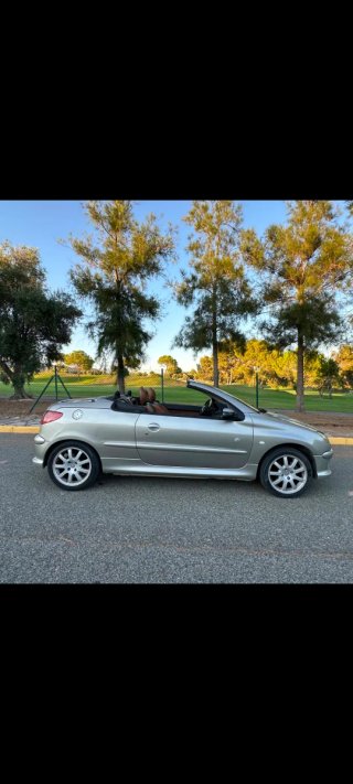 Peugeot 206 2004