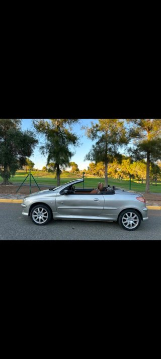 Peugeot 206 2004