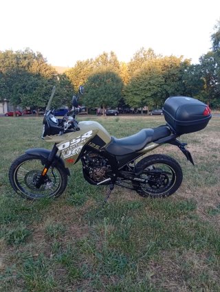 UM DSR Adventure TT 125