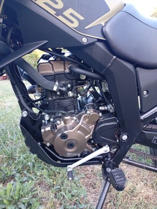 UM DSR Adventure TT 125