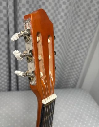 Guitarra Rocio C7N