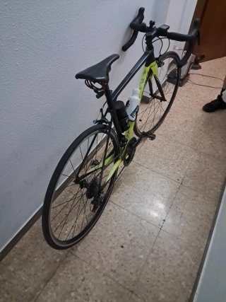 Megamo Carbono Carretera