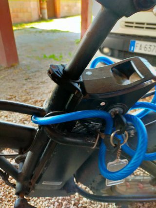 Bici Elettrica Fat 250W 50km Autonomia