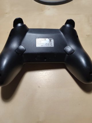 Nintendo Switch Lite + Controller + Minecraft