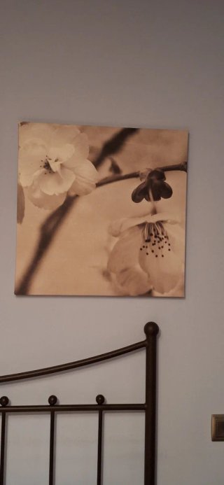Conjunto 3 cuadros flores sepia