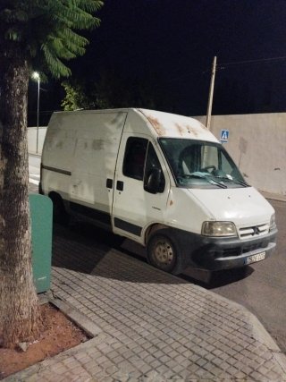 Leña de naranjo seca o verde