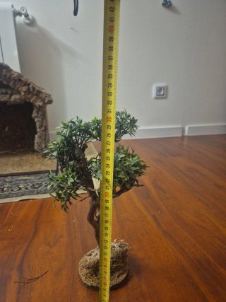 Albero decorativo per presepi