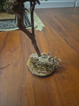 Albero decorativo per presepi