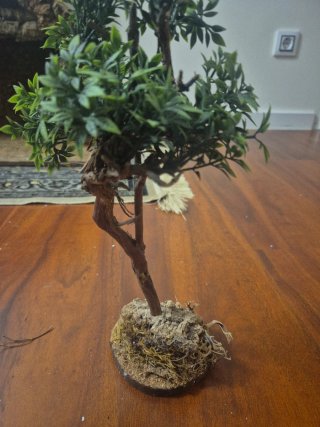 Albero decorativo per presepi
