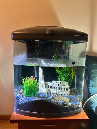 Acuario Sera BioTop Nano Cube 60