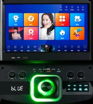 Altavoz Karaoke Bayamon 12 1000W