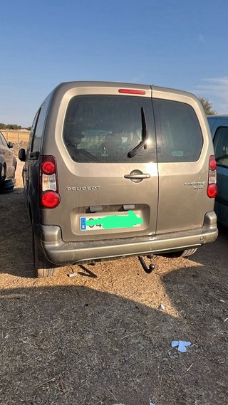 Despiece Peugeot Partner Tepee