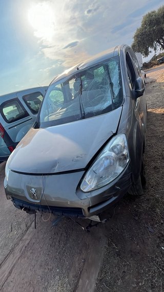 Despiece Peugeot Partner Tepee