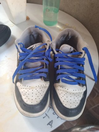 Zapatillas Nike Dunk Azul y Blanco