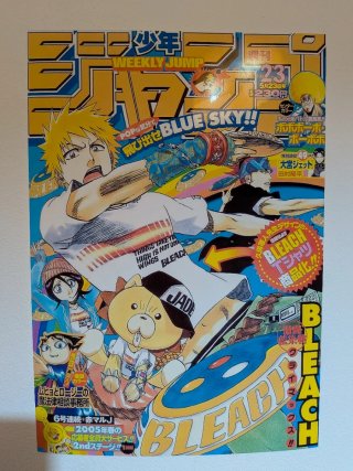 Póster Bleach