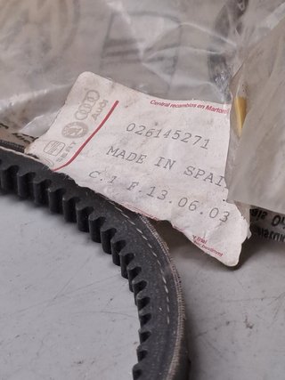 Correa direccion asistida SEAT/VW 026145271