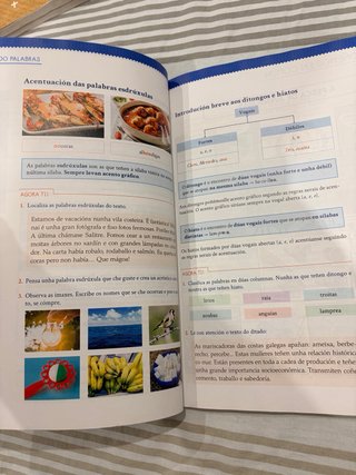 Lingua 4, Educación Primaria, Tecelingua