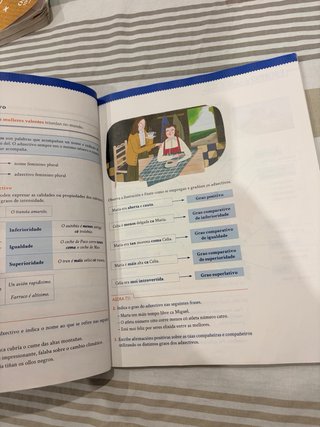 Lingua 4, Educación Primaria, Tecelingua