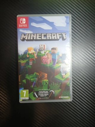 Minecraft Nintendo Switch