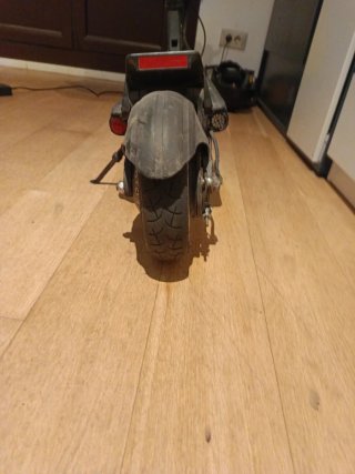 Patin minimotors