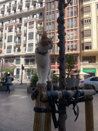 ¡Hola! Estoy buscando una habitación en alquiler