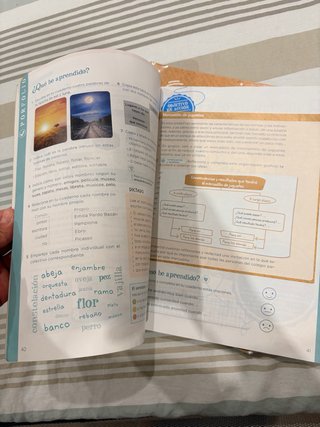 Lengua 4 Primaria : Operación Mundo