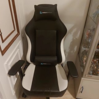 Silla Gaming Newskill Negra y Blanca