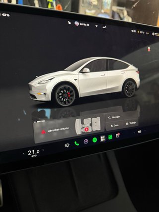 Tesla Model Y Performance 534cv
