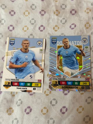 2x Erling Haaland Panini FIFA 365